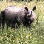 Photo taken by Gerald S