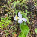 Photo taken by Harshida P