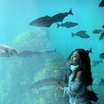 Photo taken by Jessica H