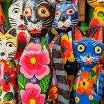 Photo taken by Denise M