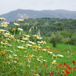 Photo taken by Eric T