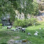 Photo taken by Maureen F