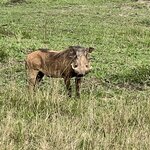 Photo taken by Michael L