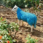 Photo taken by Darcy G