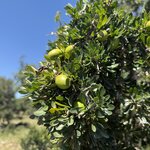 Photo taken by Colin L