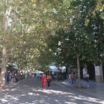 Photo taken by Janet S