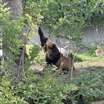 Photo taken by Meryl F