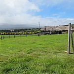 Photo taken by Marcia G