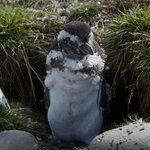 Photo taken by Martine B