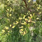 Photo taken by Amy Z