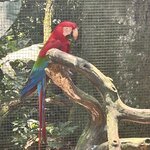 Photo taken by Randall D