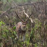 Photo taken by Sarah A