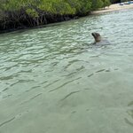 Photo taken by Thomas L