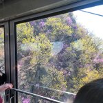 Photo taken by Mark C