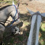 Photo taken by Jacqueline R