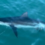 Photo taken by Kolla S