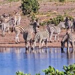 Photo taken by Kaye D