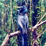 Photo taken by KLAUS A