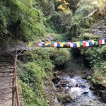 Photo taken by matthew h