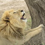 Photo taken by Kristin M