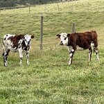 Photo taken by enrique jose g