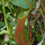 Photo taken by Steven M