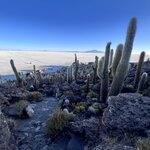 Photo taken by Shirley S