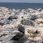 Photo taken by Jennifer A