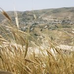 Photo taken by Beata p