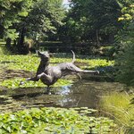 Photo taken by Iris W