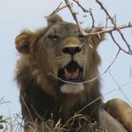 Photo taken by Kristin M