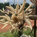 Photo taken by Michael L