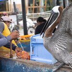 Photo taken by mindy n