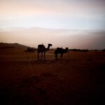 Photo taken by Lindsey B