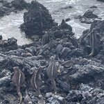 Photo taken by Stephanie A