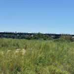 Photo taken by Christopher F