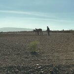 Photo taken by Raelene S