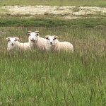 Photo taken by Mike S