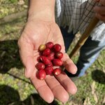 Photo taken by Ross V