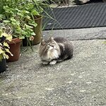 Photo taken by Meryl F