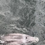 Photo taken by Dan U