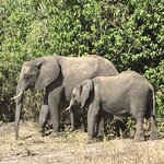 Photo taken by rhonda c