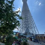 Photo taken by Andrea C