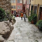 Photo taken by George N