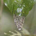 Photo taken by Samantha S