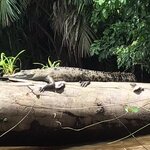 Photo taken by Cassio S