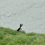 Photo taken by Lori A