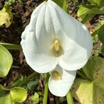 Photo taken by Carrie N