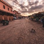 Photo taken by Kassie R