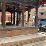 Photo taken by Rachael L